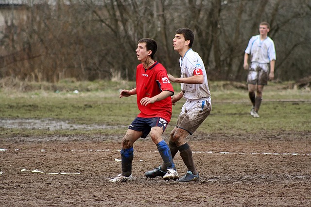 胜的重要因 胜的重要因