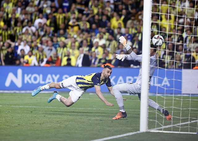 境保护中的 境保护中的