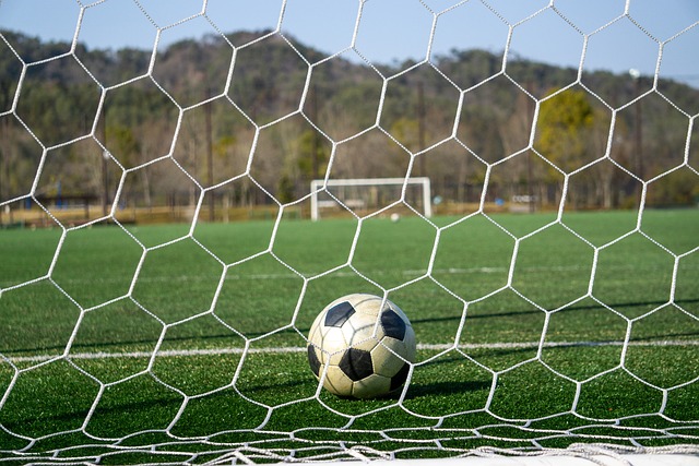 帮助大家进 帮助大家进