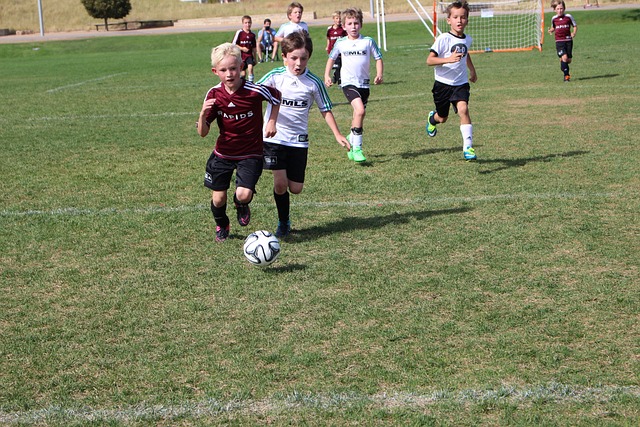 对青少年体 对青少年体